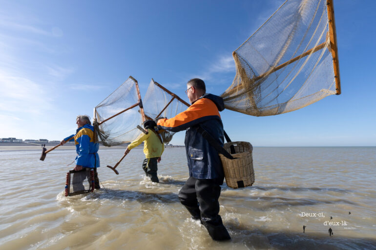 Quand les crevettes sont là, on voit revenir aussi les pousseux !