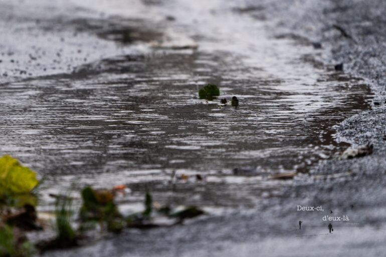 Vigilance orange pluie inondation