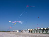 Festival des cerfs-volants : chouette, le soleil est arrivé !