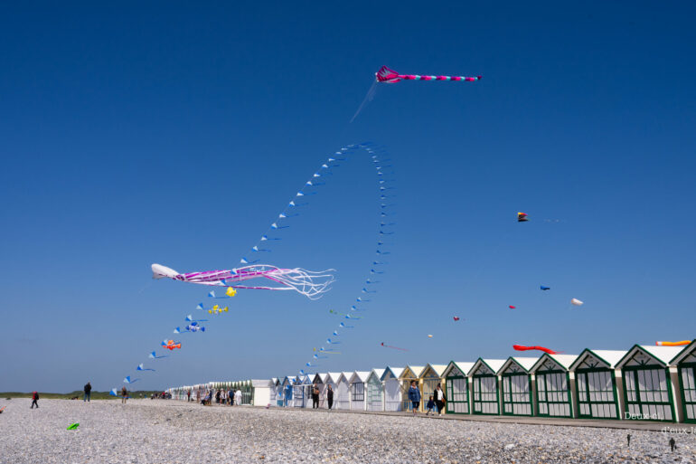 Festival des cerfs-volants : chouette, le soleil est arrivé !