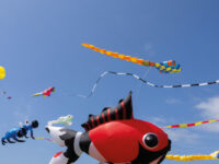 Le BIM est arrivé !